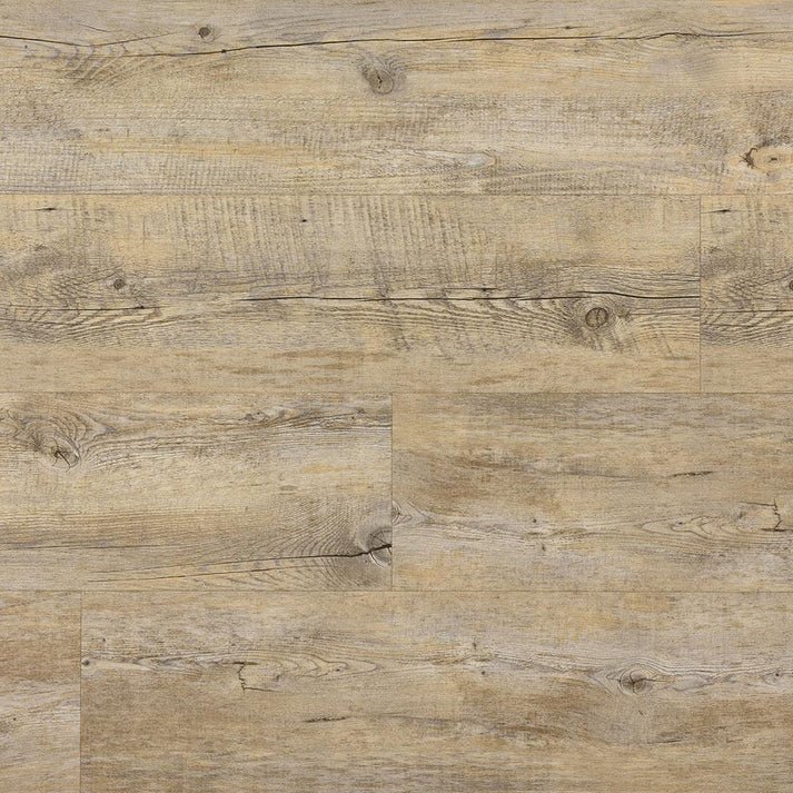 Parisienne Pine