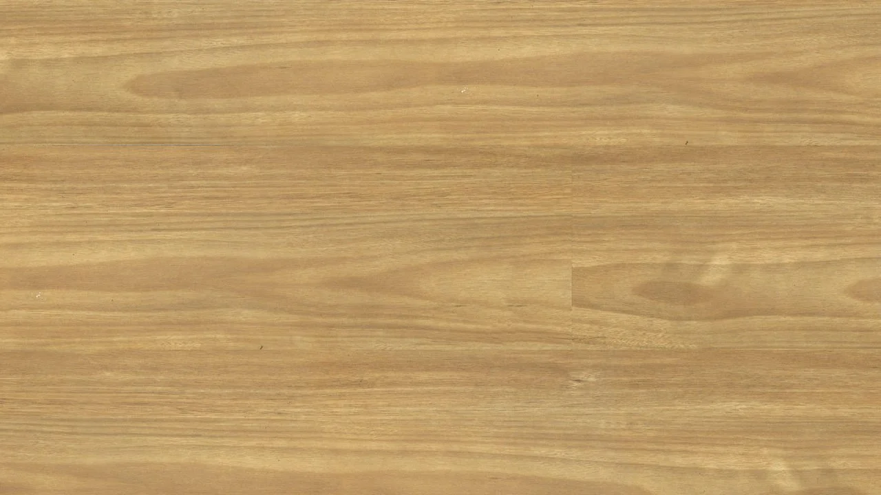 Eastern Blackbutt