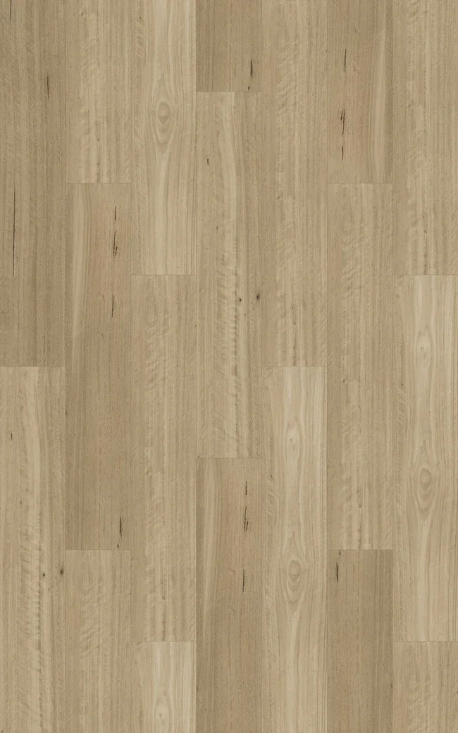 Somerset Blackbutt