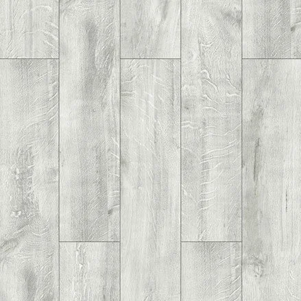 Arctic Pine