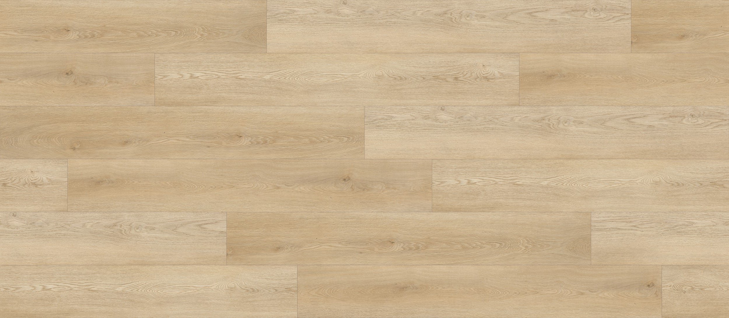 Coastline Oak