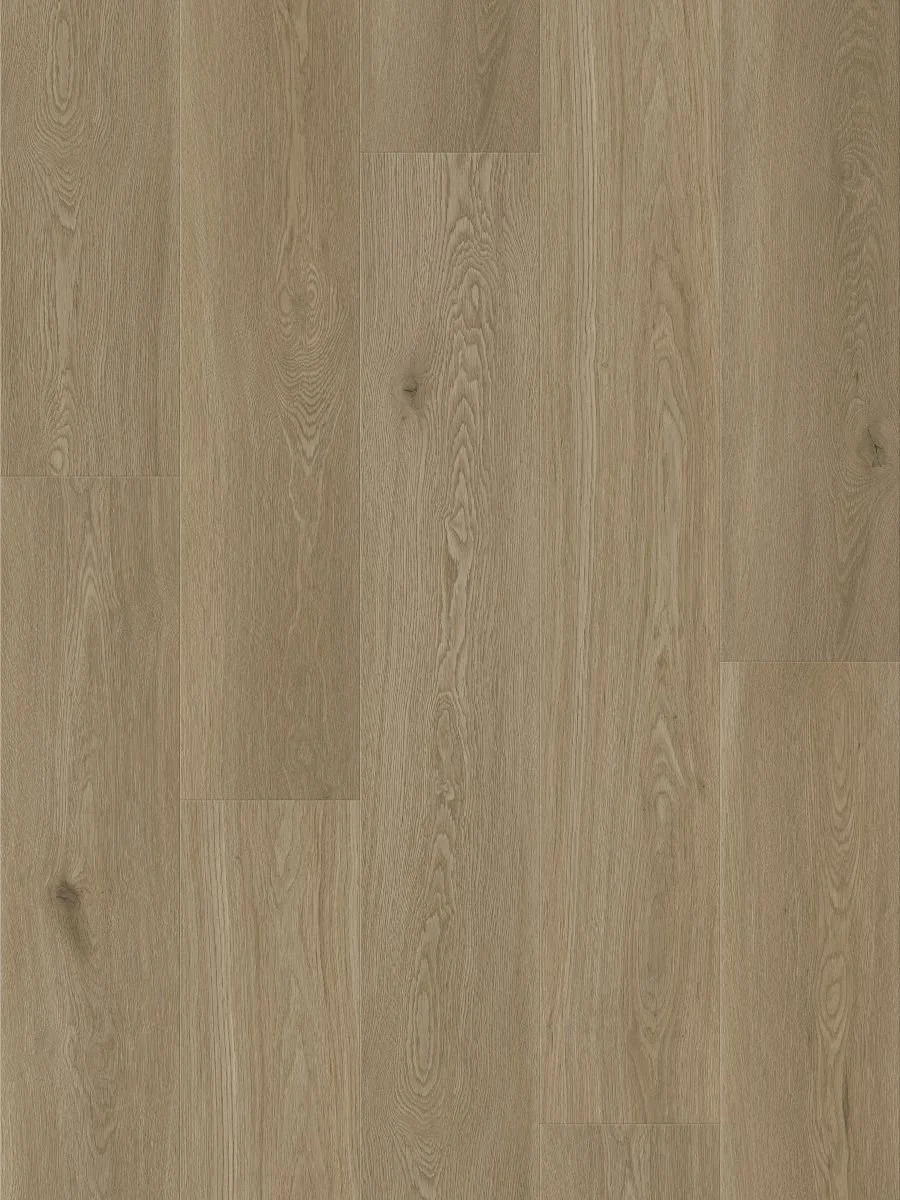 Costal Clay