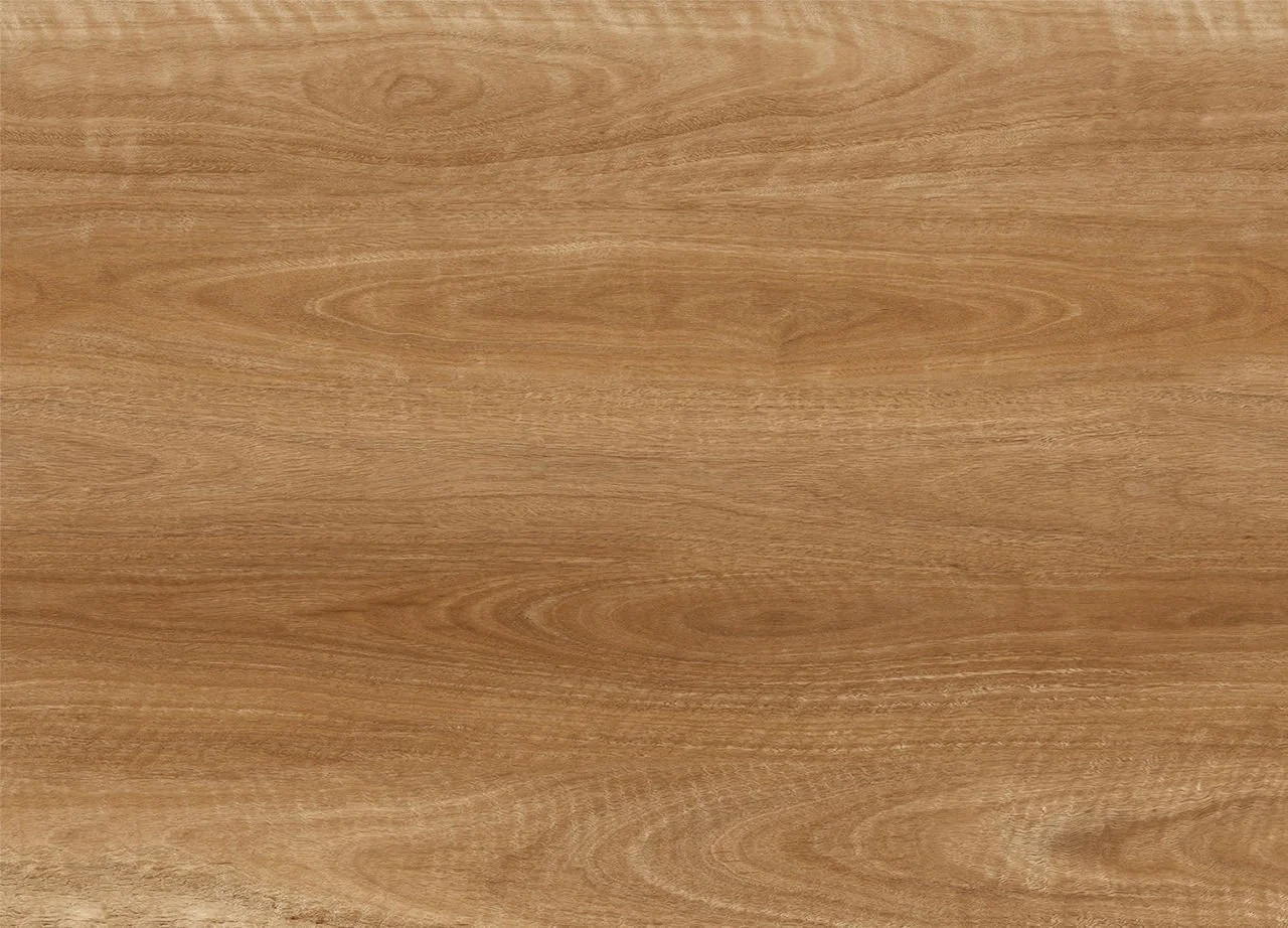 Spotted Gum