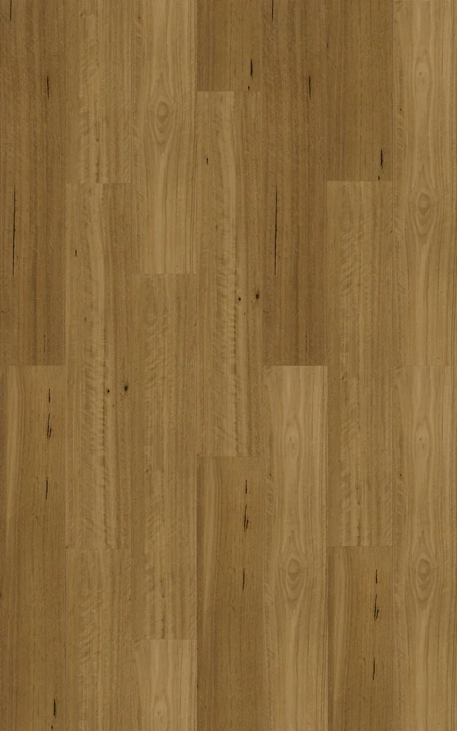 Blackbutt Traditional