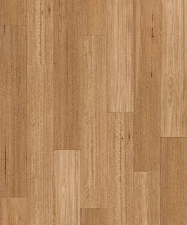 Sanded Blackbutt