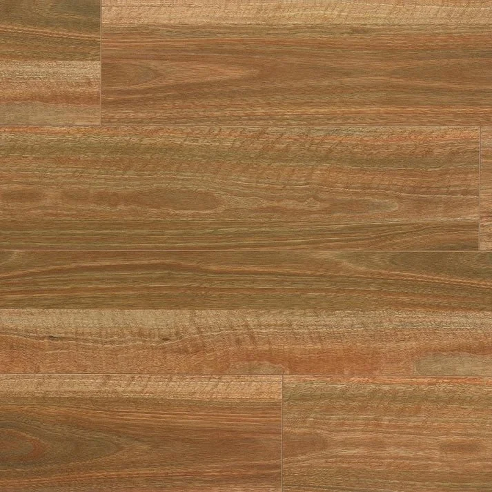Spotted Gum