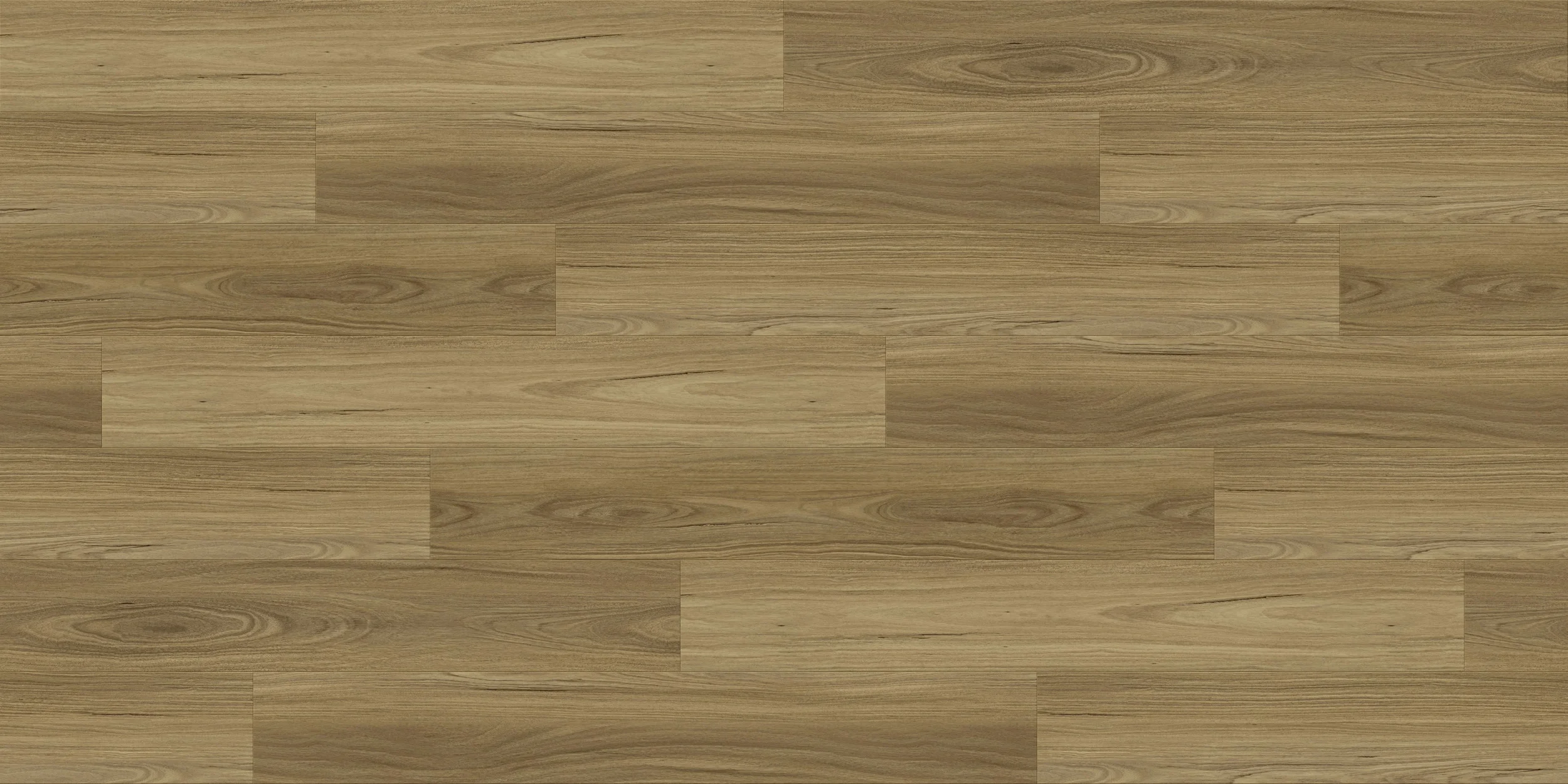 Mountain Spotted Gum