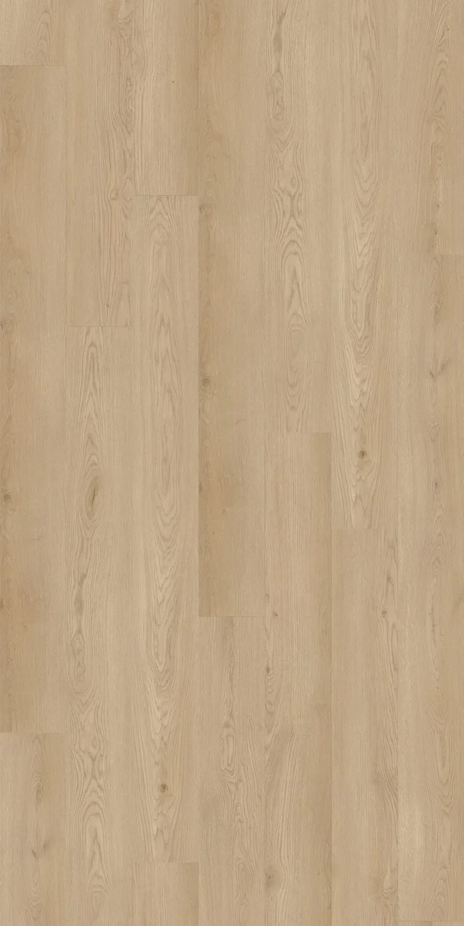 Jamieson Oak