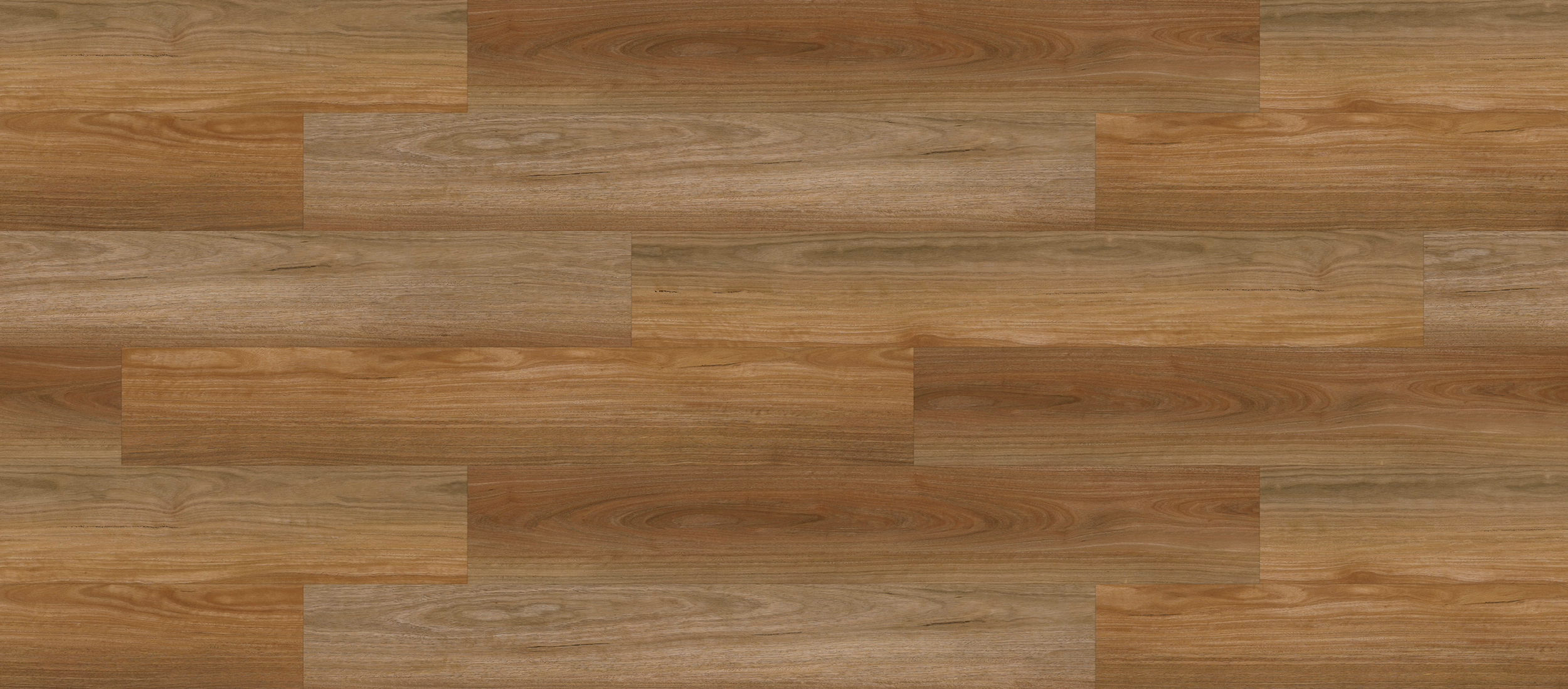Northern Spotted Gum