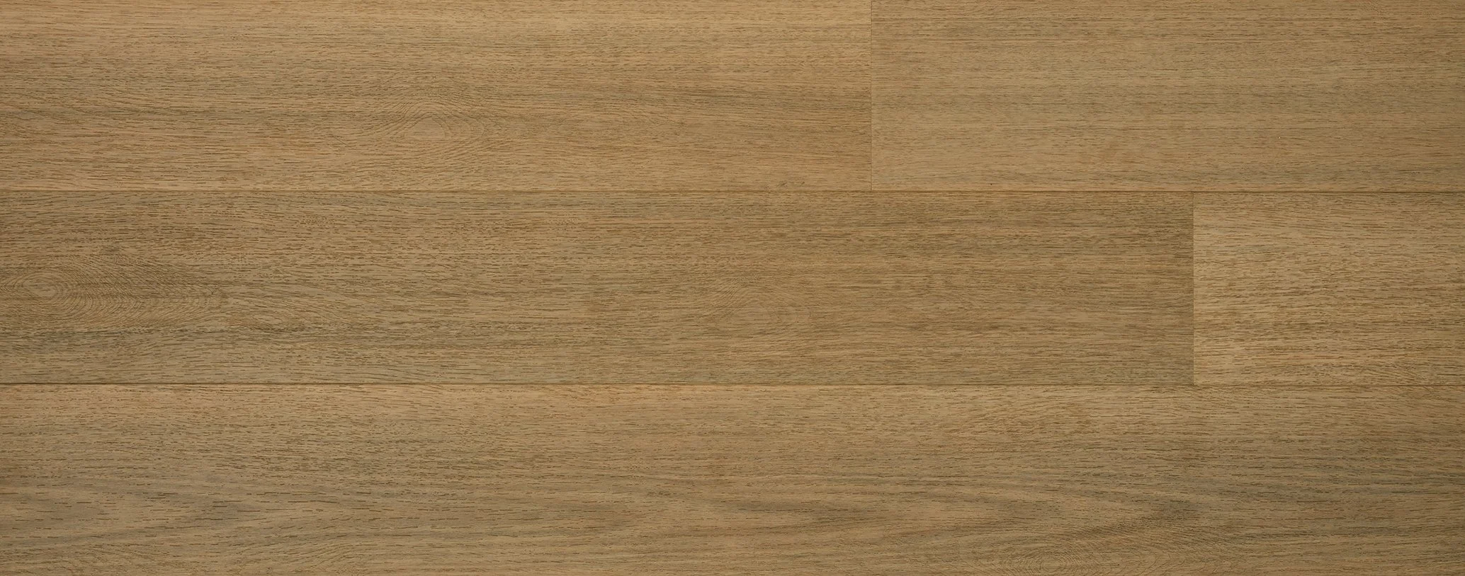 Tasmanian Oak