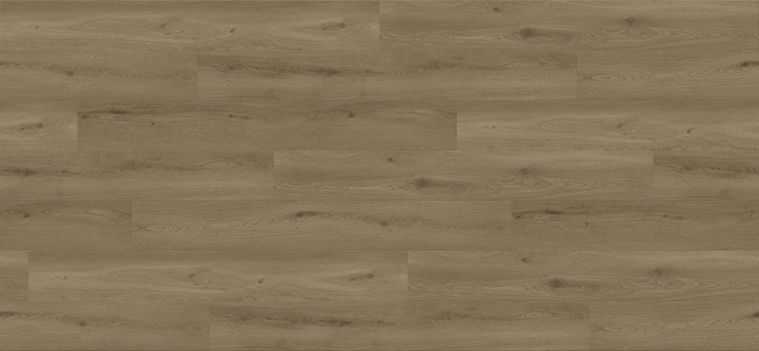Horizon Oak