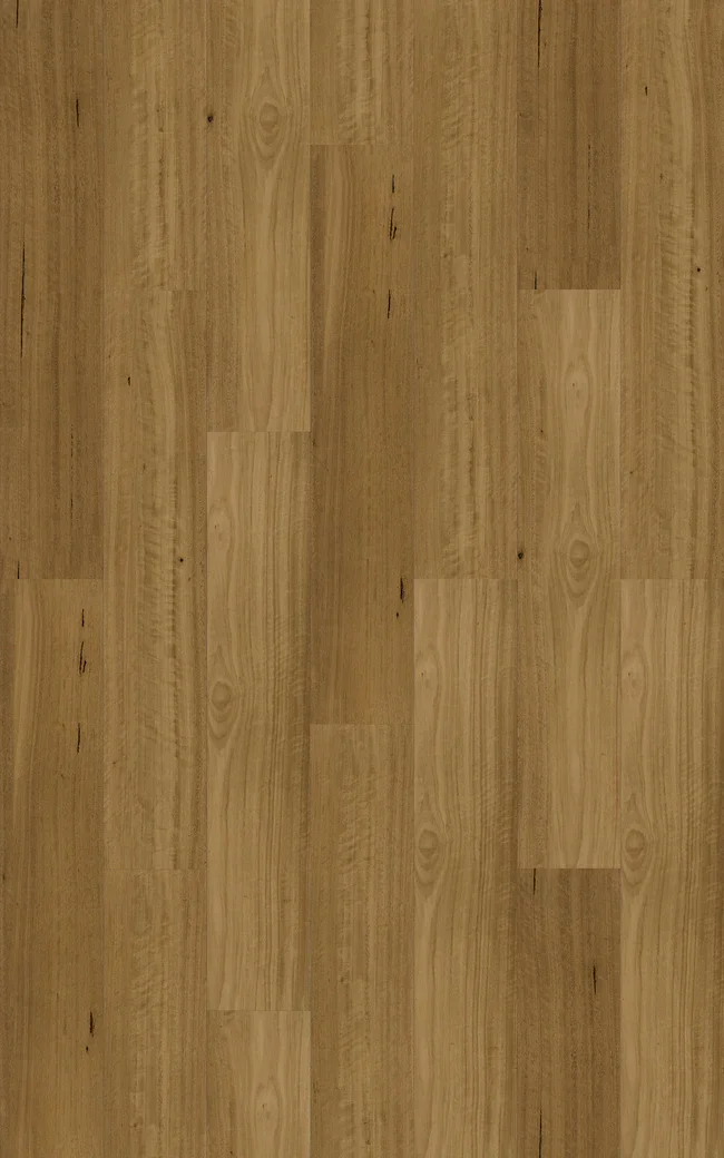 Blackbutt Traditional