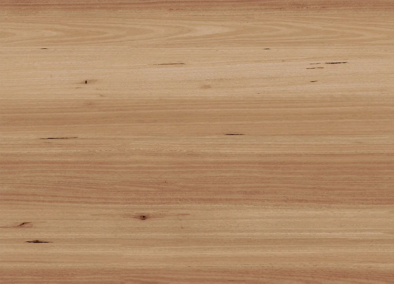 Blackbutt