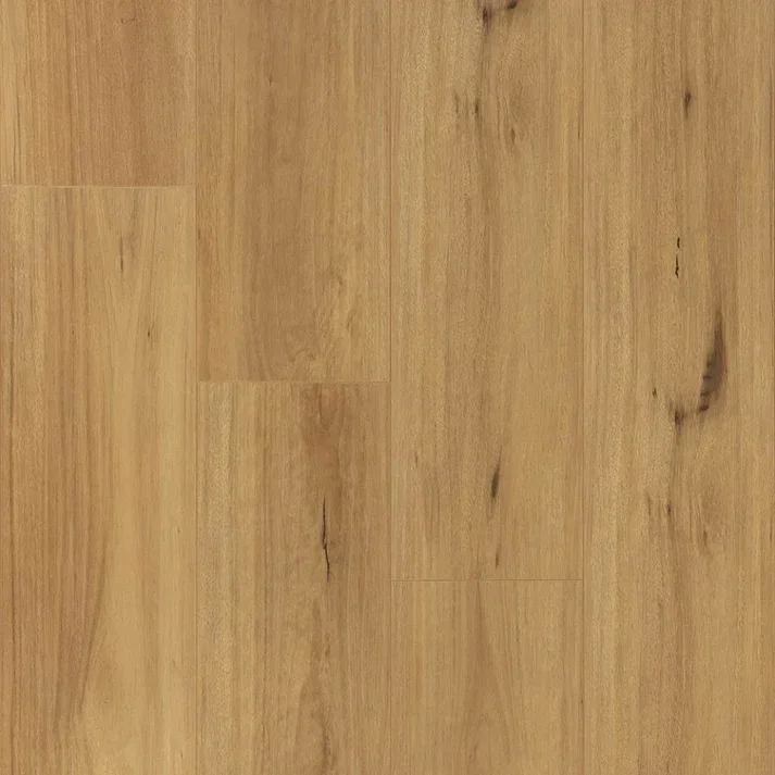 Blackbutt