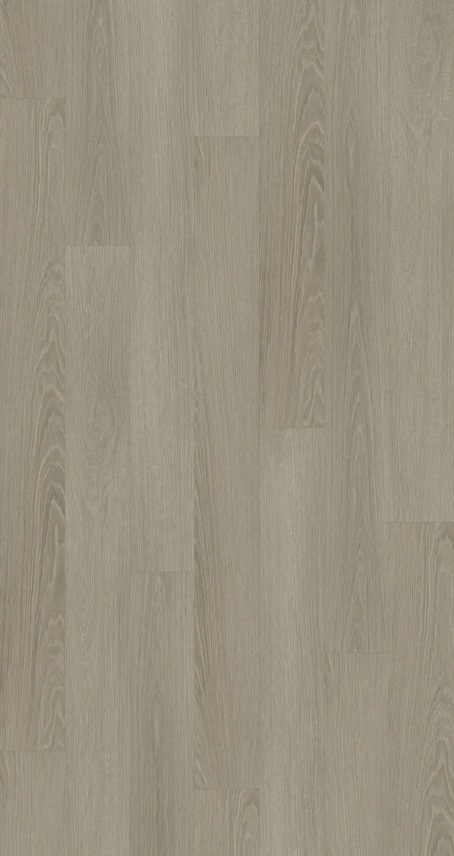 Limestone Oak