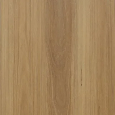 Mountain Blackbutt