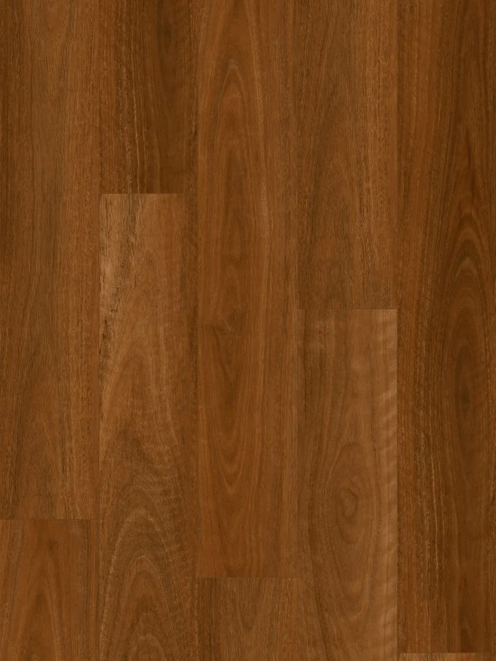 Australian Spotted Gum