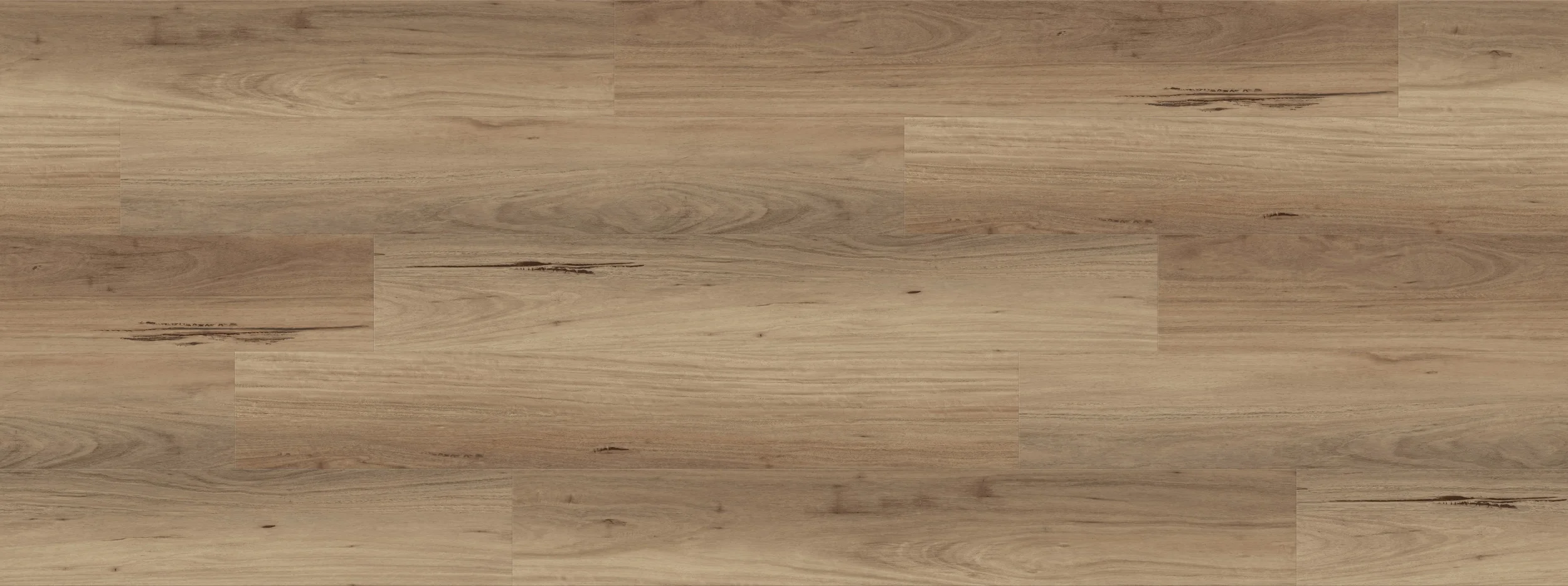 Weathered Blackbutt