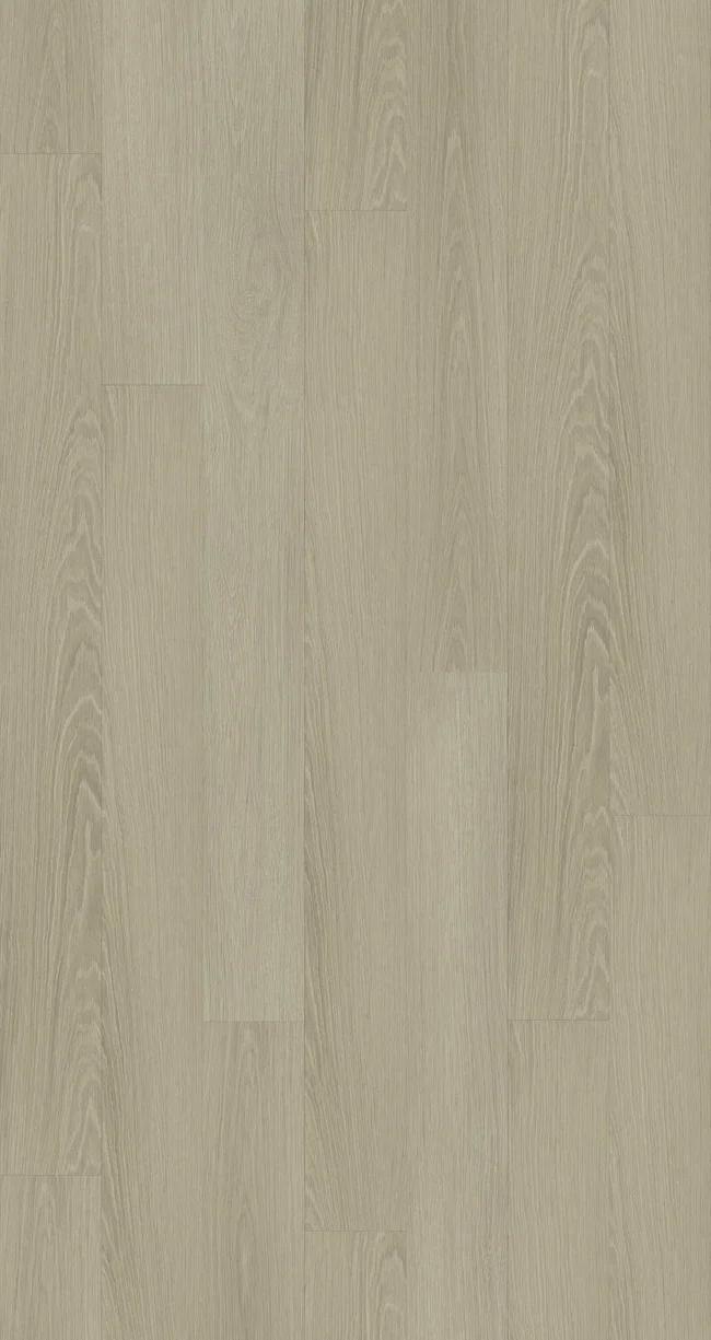 Sierra oak