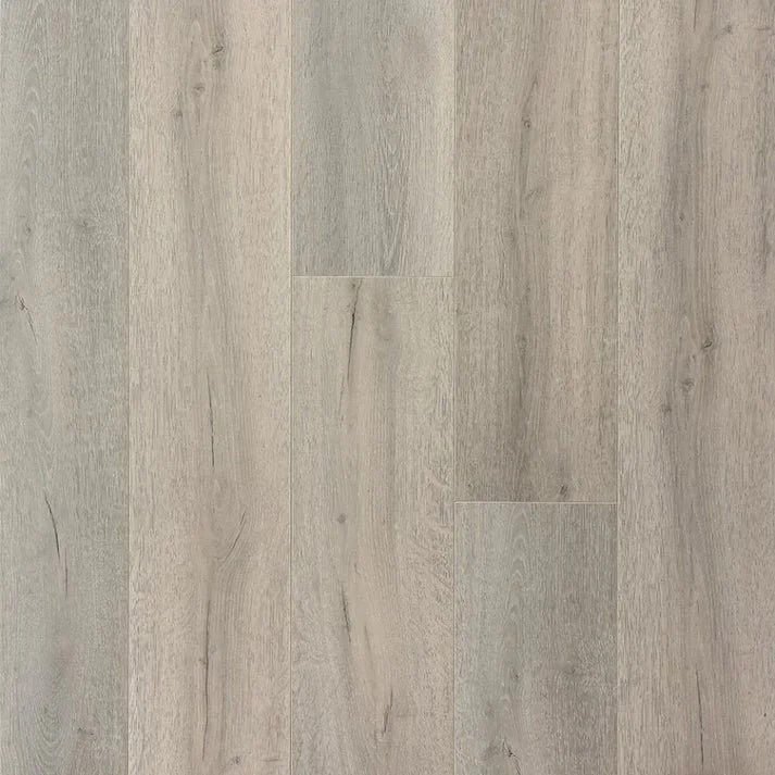 Arctic Grey