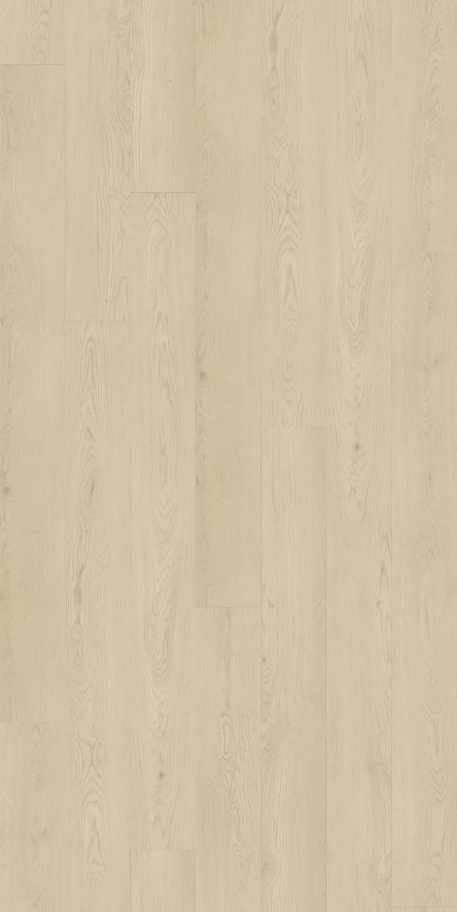 Chardonnay Oak