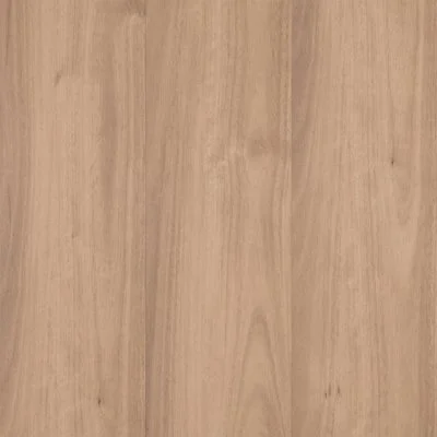 Spice Spotted Gum