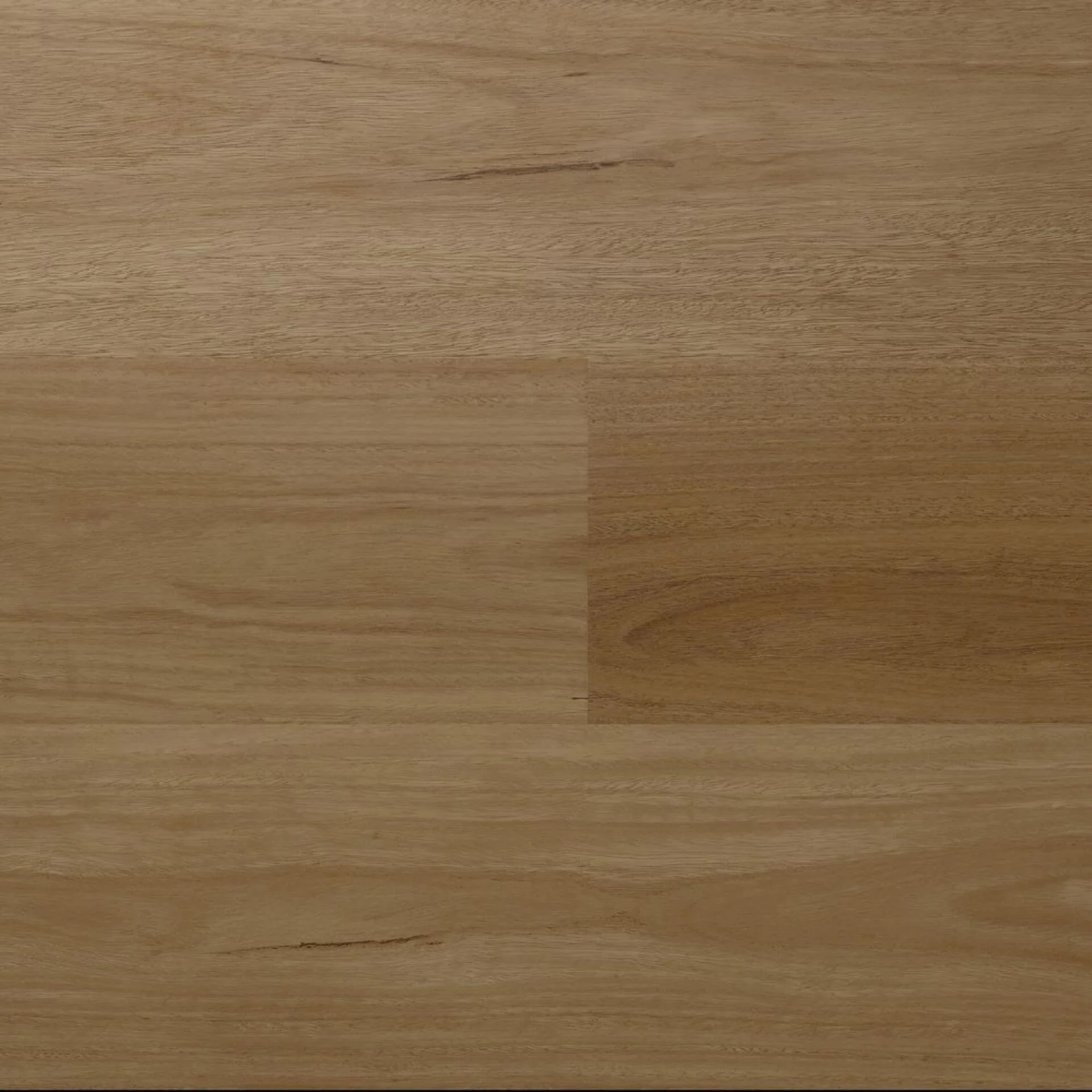 Spotted Gum AU 2006