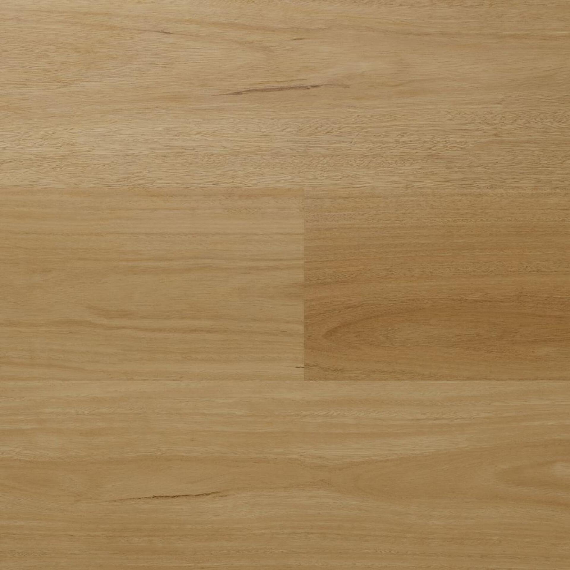 Spotted Gum AU 2005