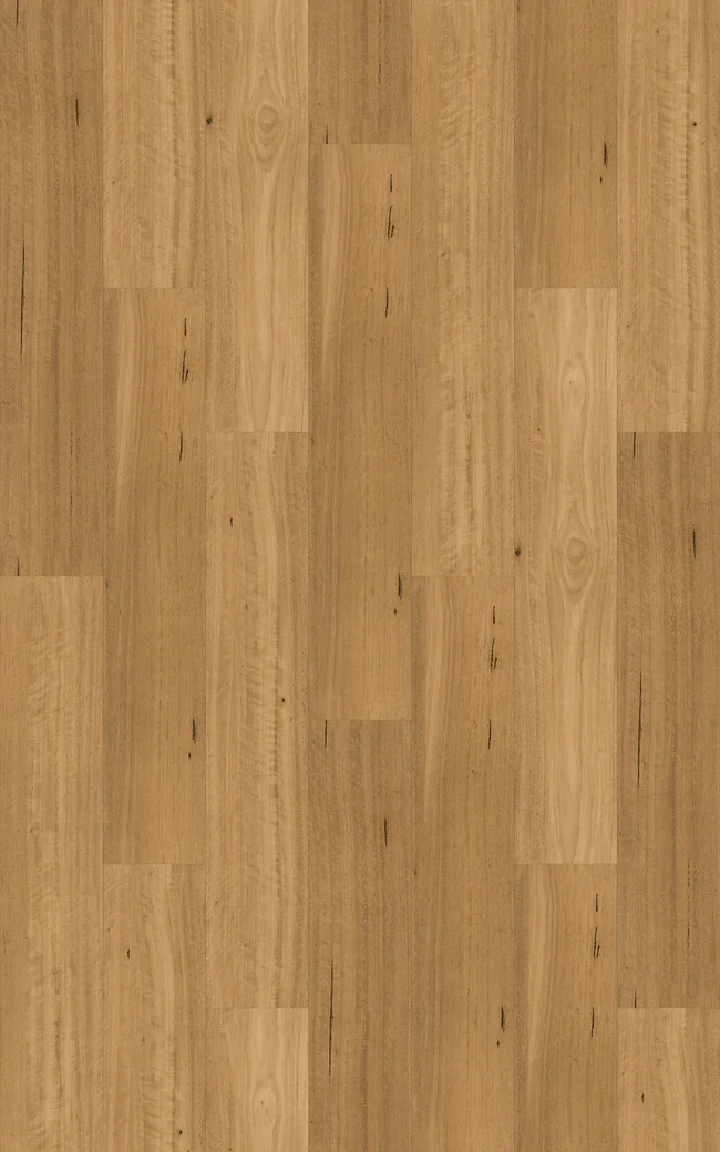 Natural Blackbutt
