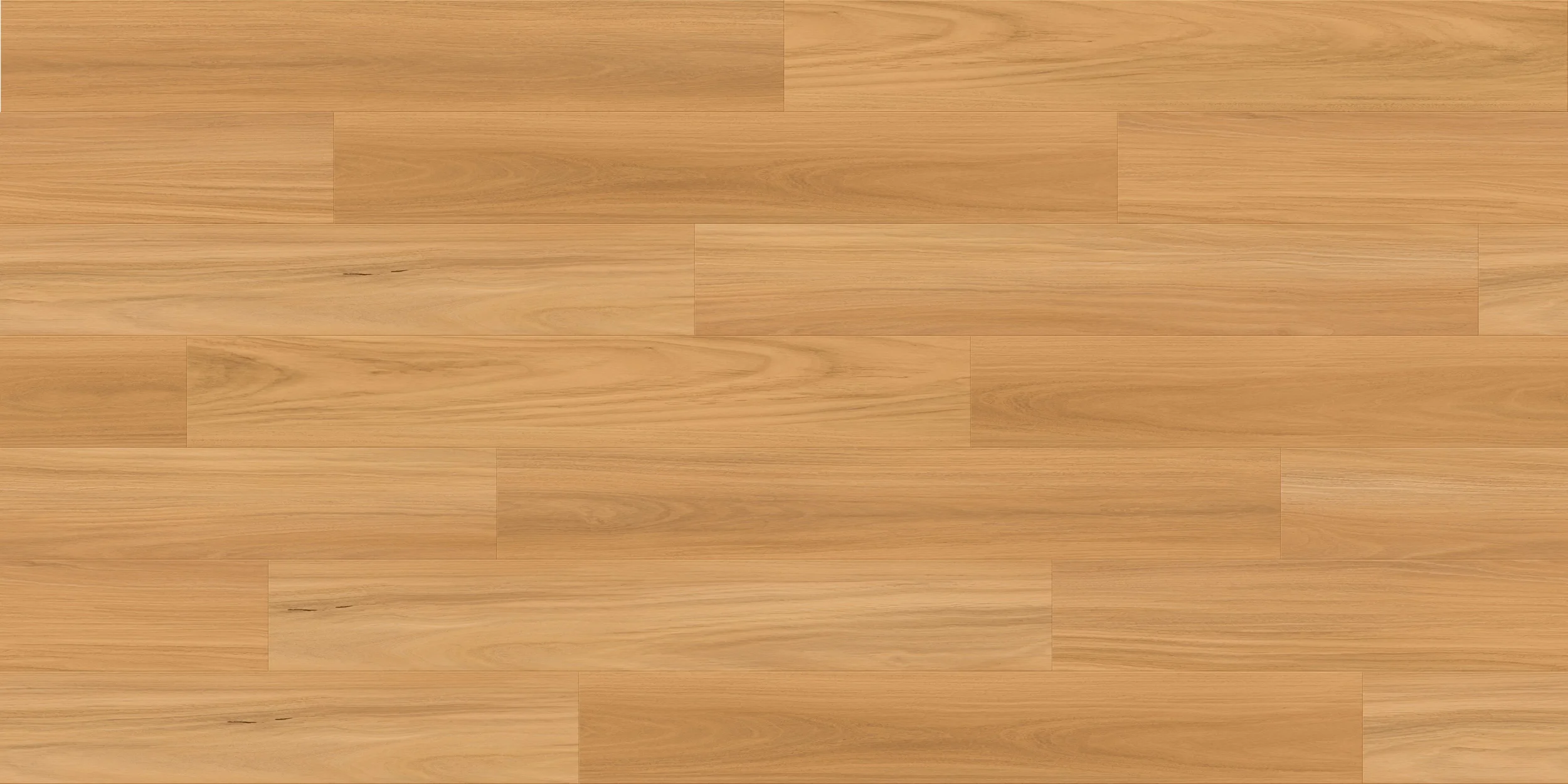 Coastal Blackbutt