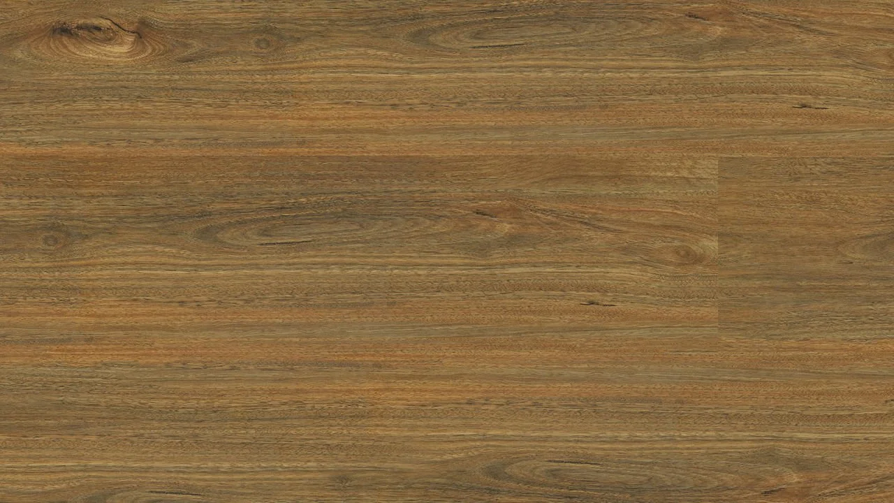 Spotted Gum
