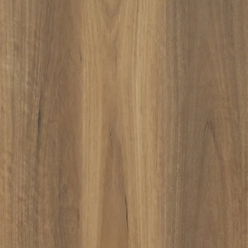Alpine Spotted Gum