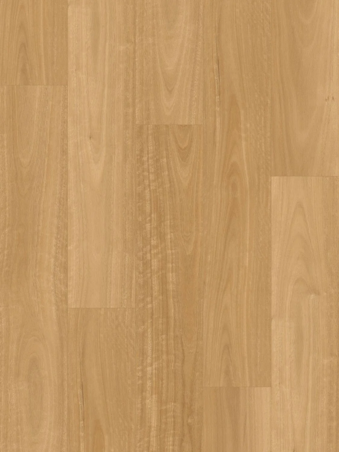Australian Blackbutt