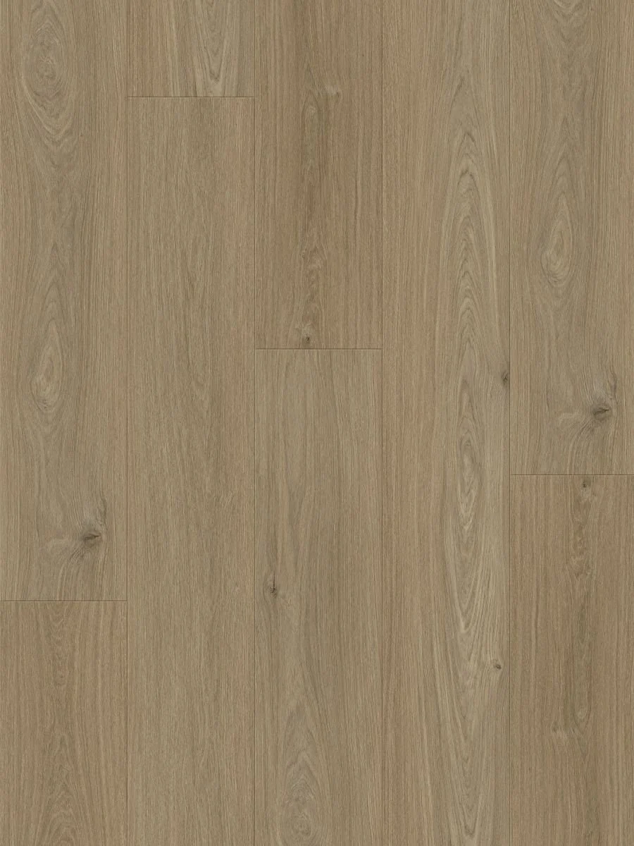 Sapia Clay