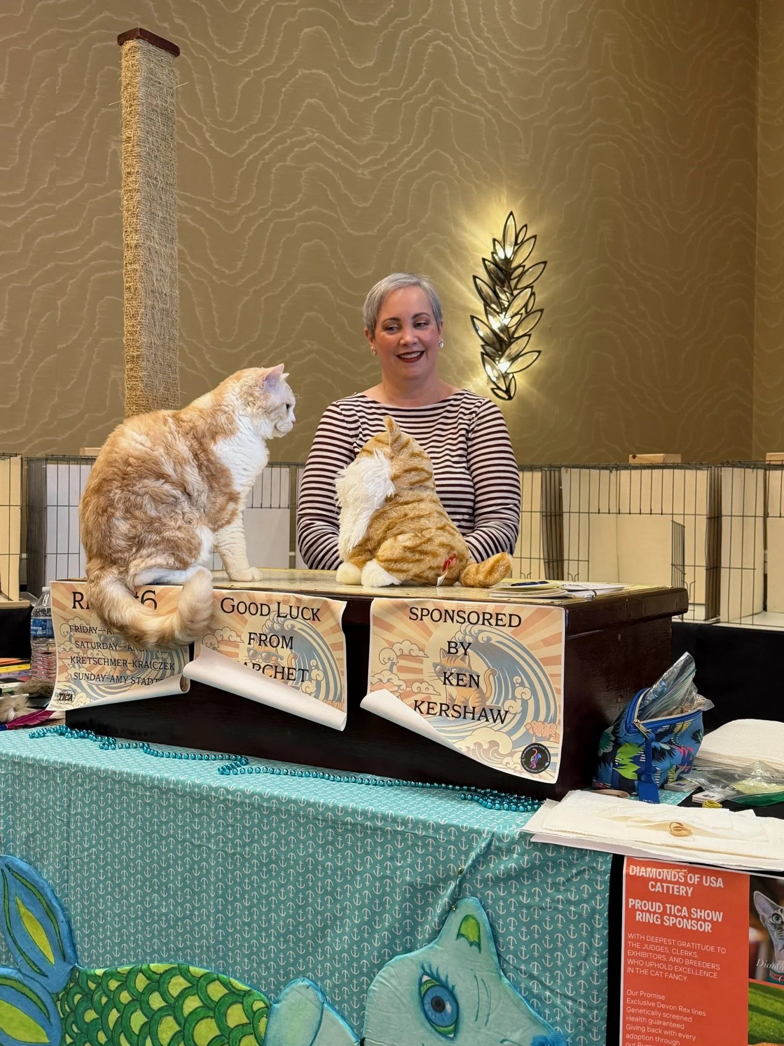 King Alistair meeting his double on the show table. An epic showdown ensues!