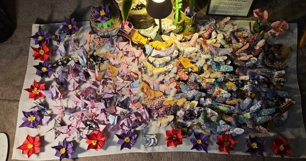 inbound2650224668969414647 - Ryan Crispino.jpg