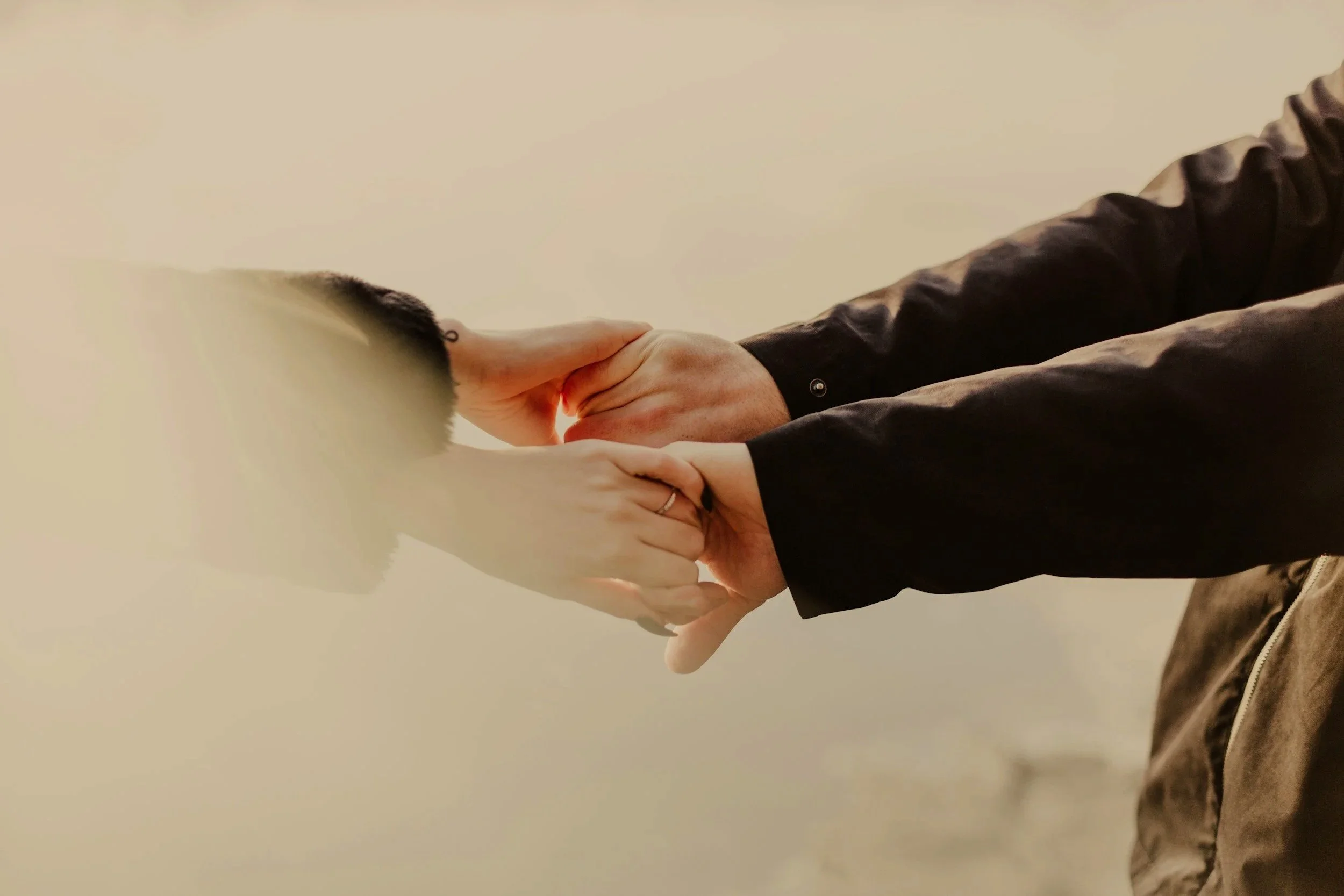 Two people clasping hands outdoors against a soft, misty background — collaboration and connection – Nordica Scientific