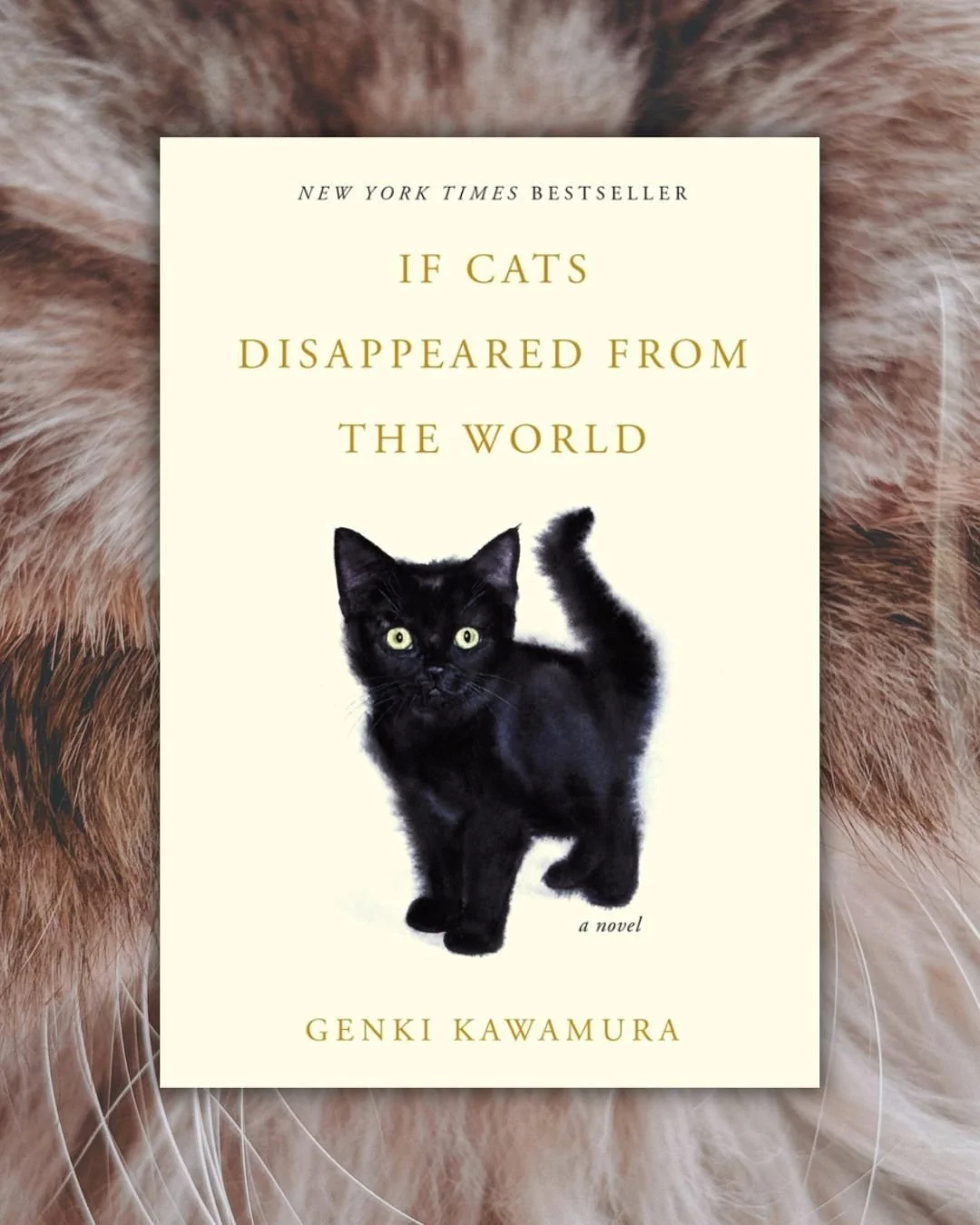 Remember last year when I hated books that had secret cancer in them? Well it's a good thing I didn't pick this one up then, because right off the bat the main character has terminal cancer and has to decide what he will do to keep on living.
&bull;&