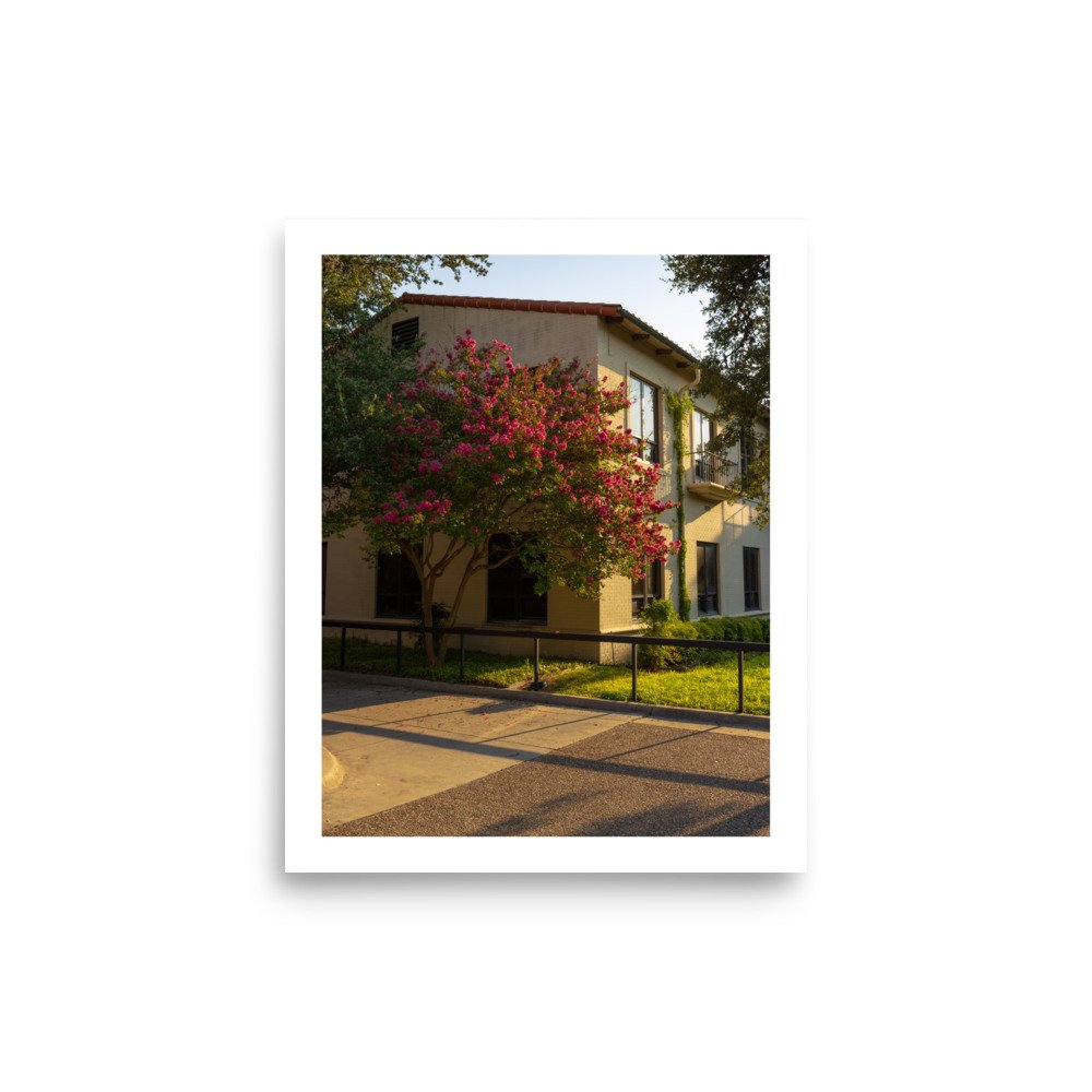 premium-luster-photo-paper-poster-(in)-8x10-front-660d8e34d3944.jpg