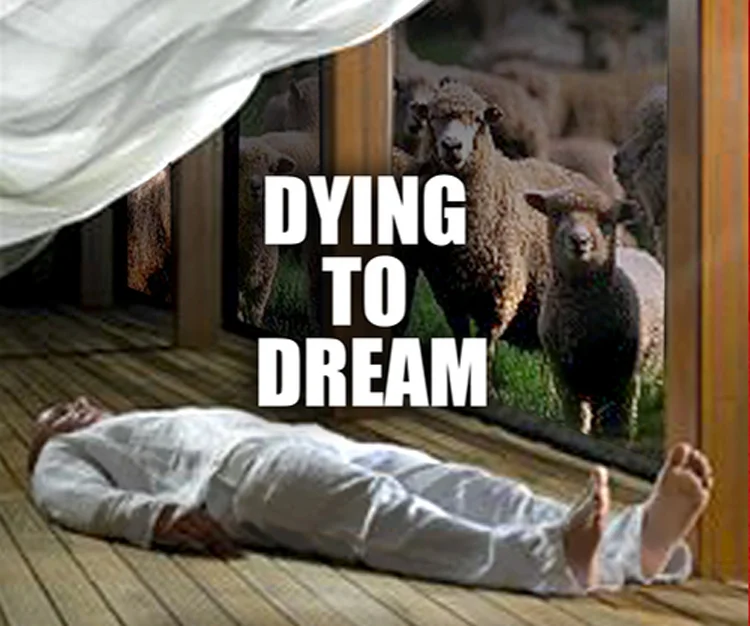 DYING TO DREAM
