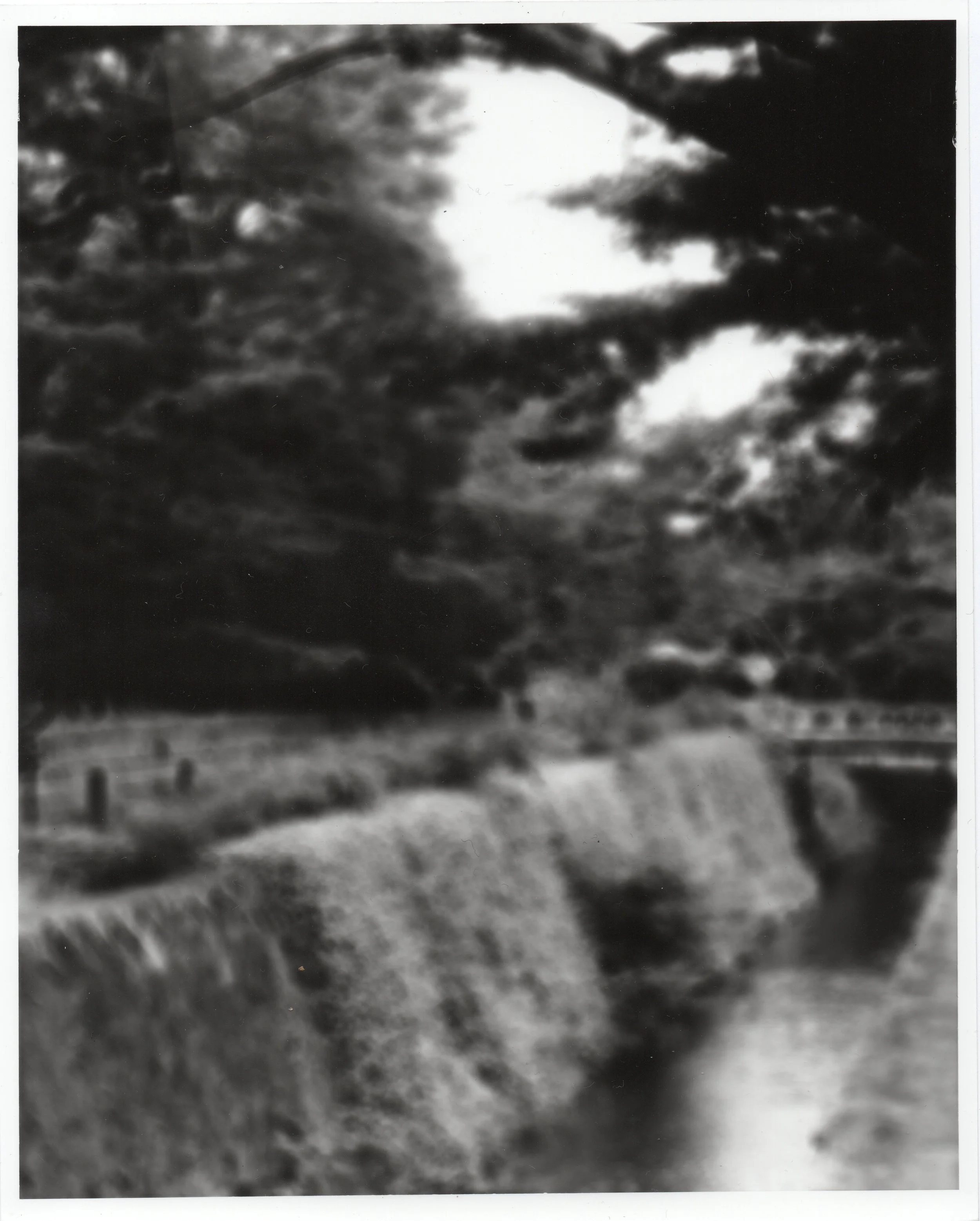 untitled [Dark Matter 2025]