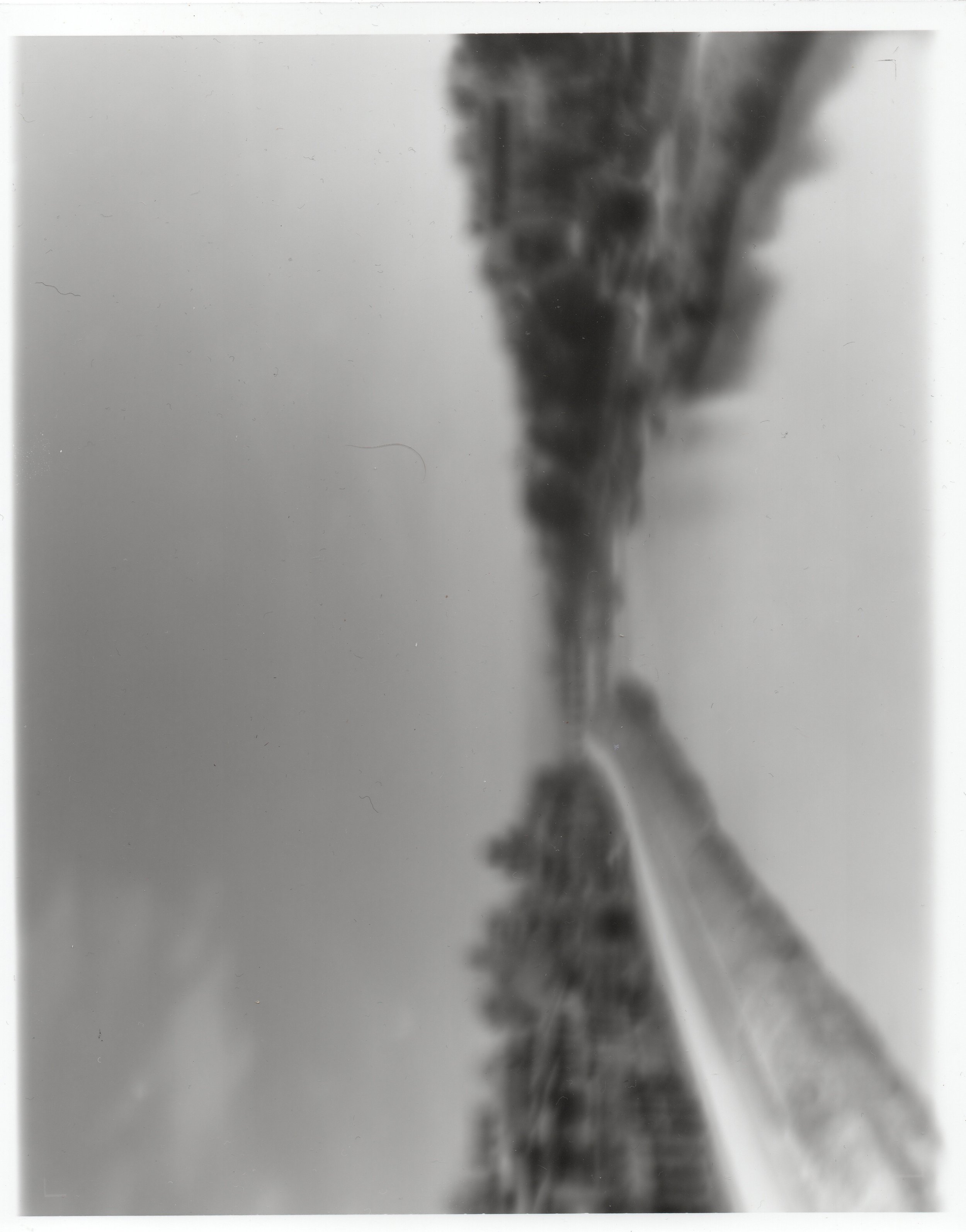 untitled [Dark Matter 2025]