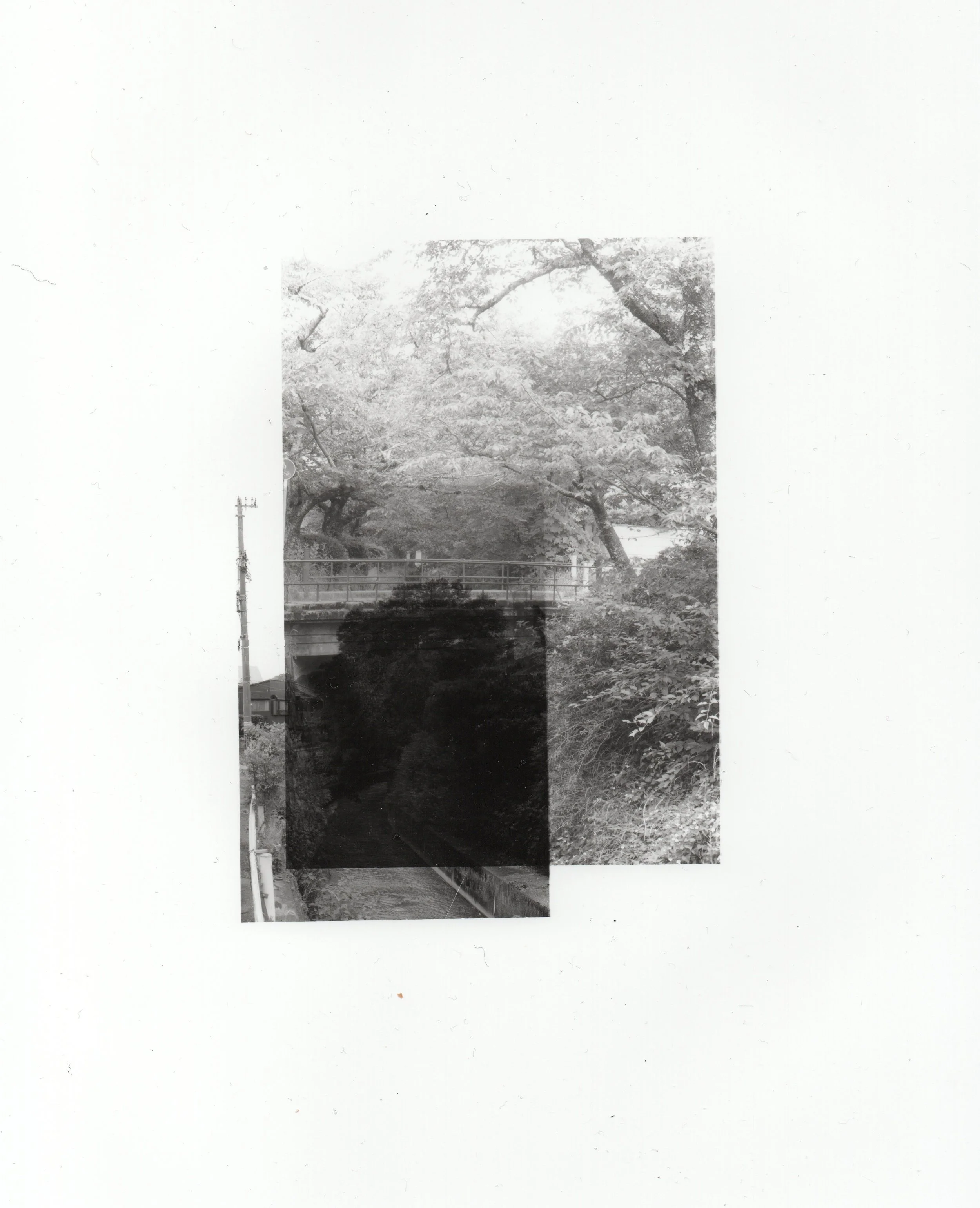 untitled [Dark Matter 2025]