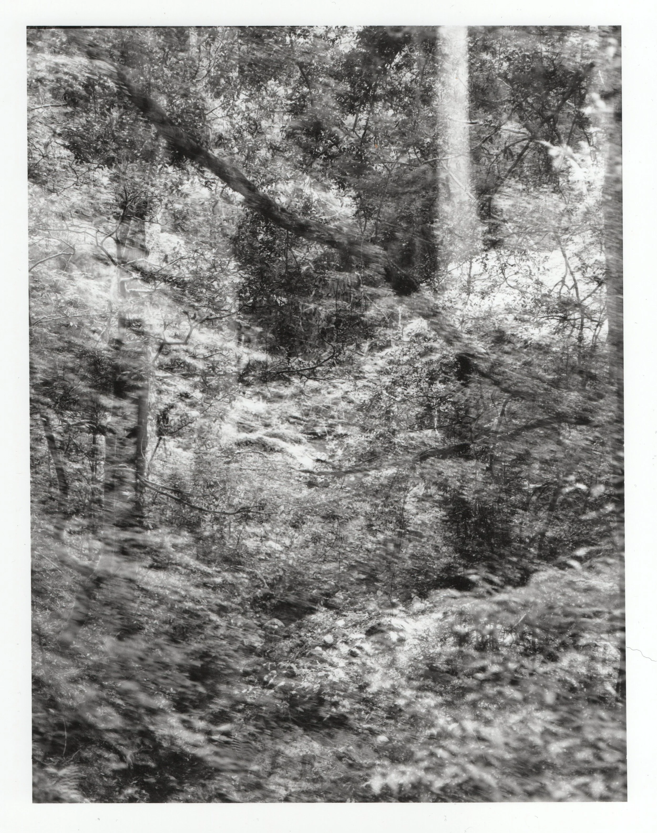 untitled [Dark Matter 2025]