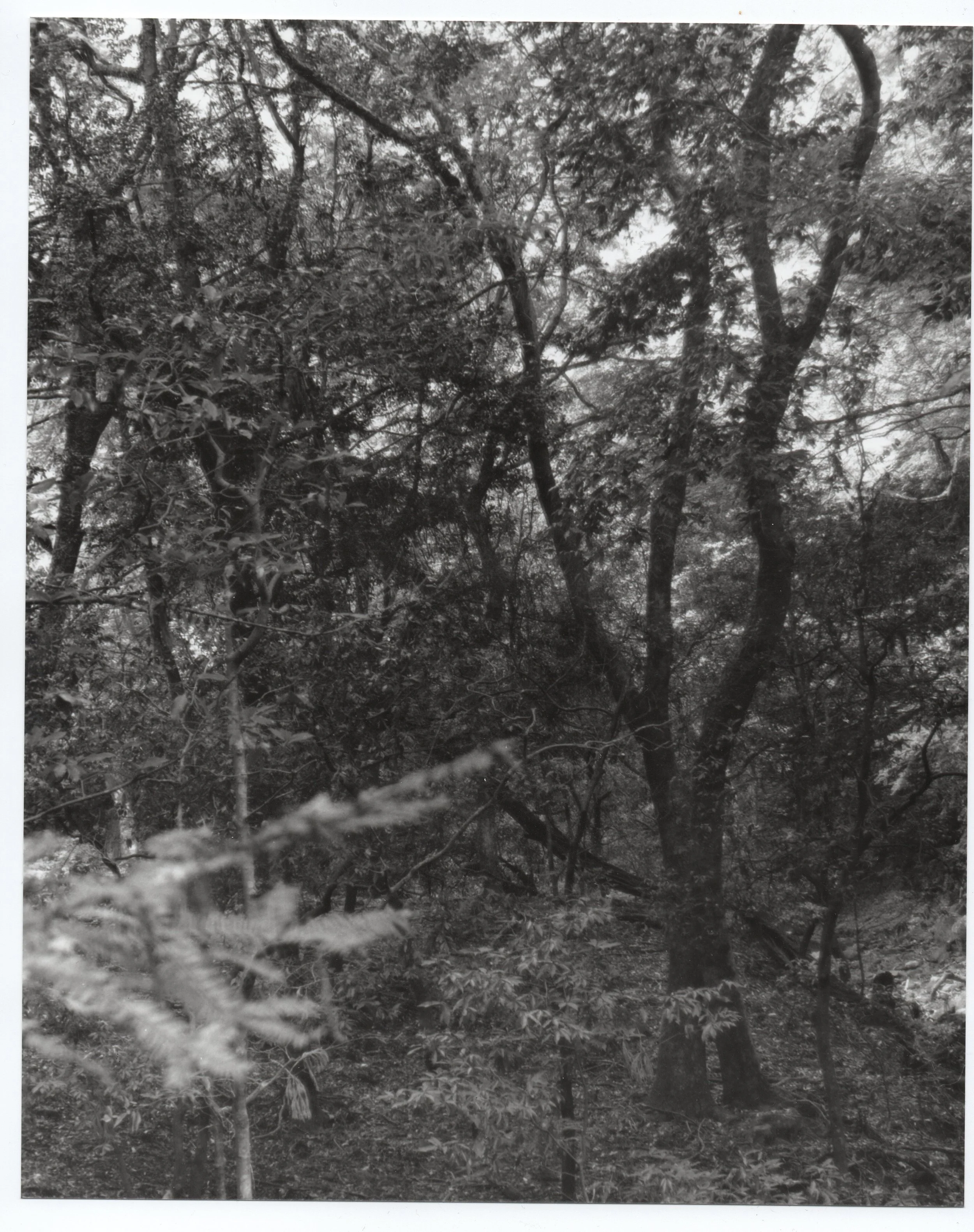 untitled [Dark Matter 2025]