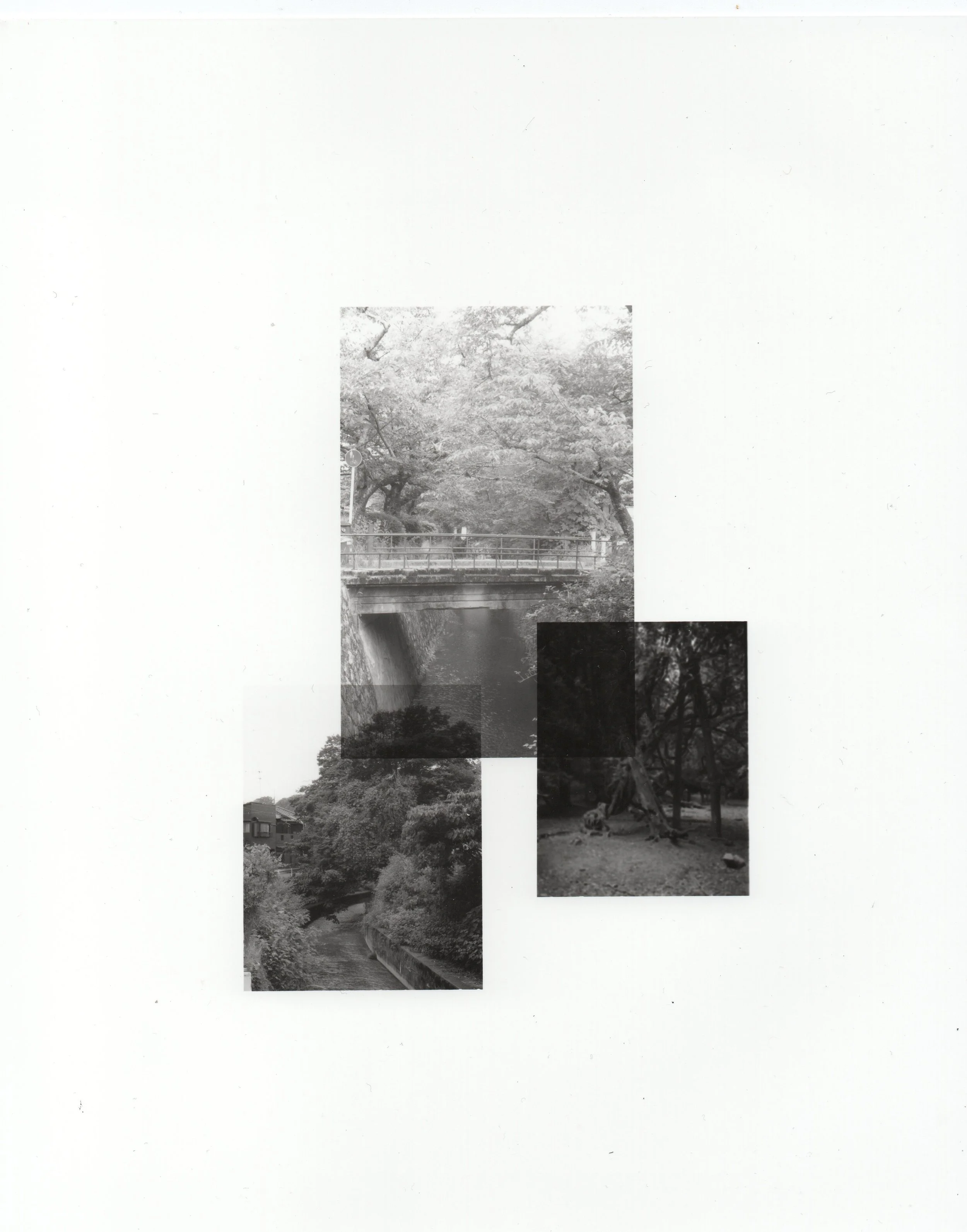 untitled [Dark Matter 2025]