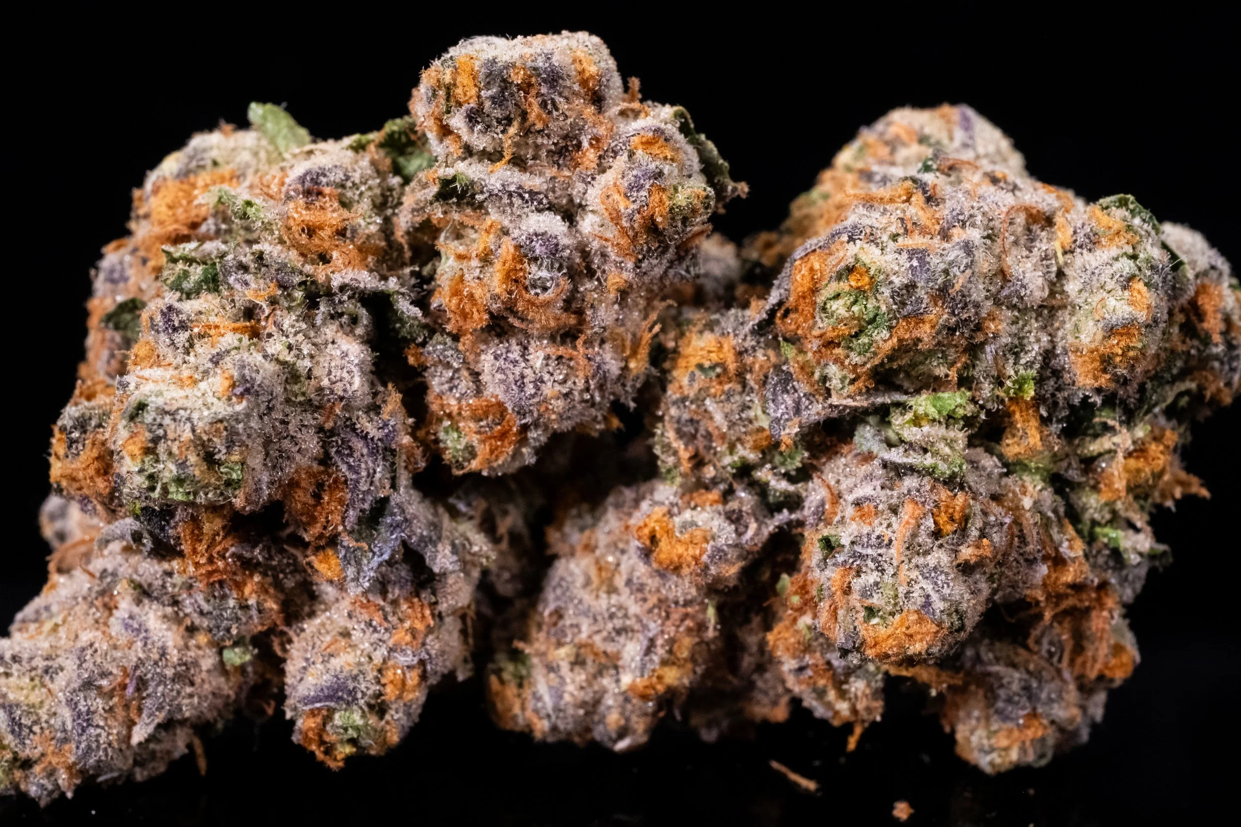 Gucci Fruit sativa hybrid