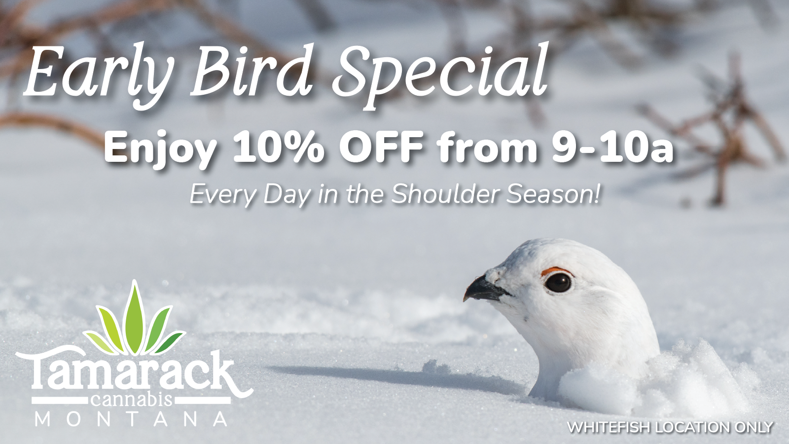 Early+Bird+Special_WF+shoulder+season.png