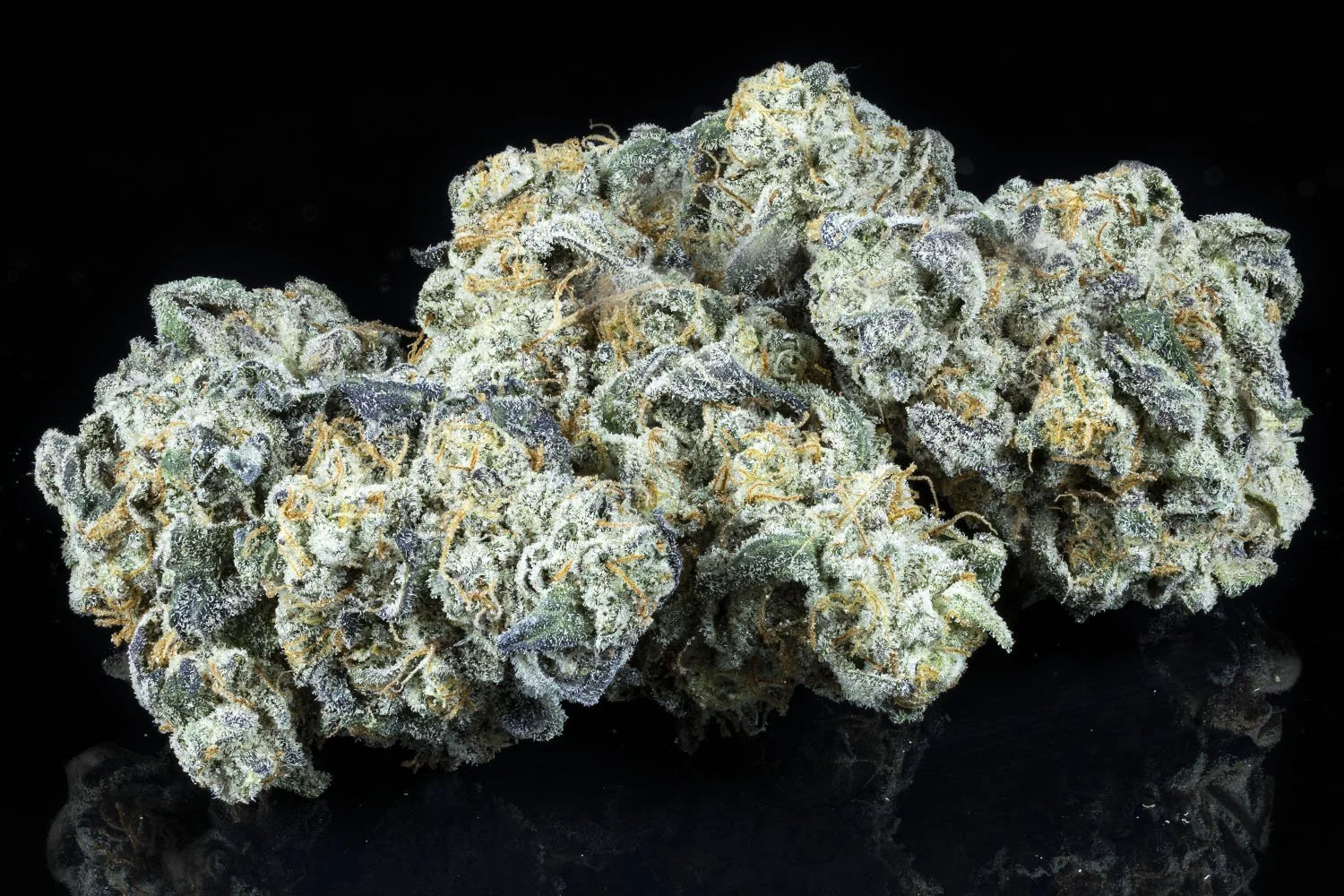 Kush Mint indica hybrid