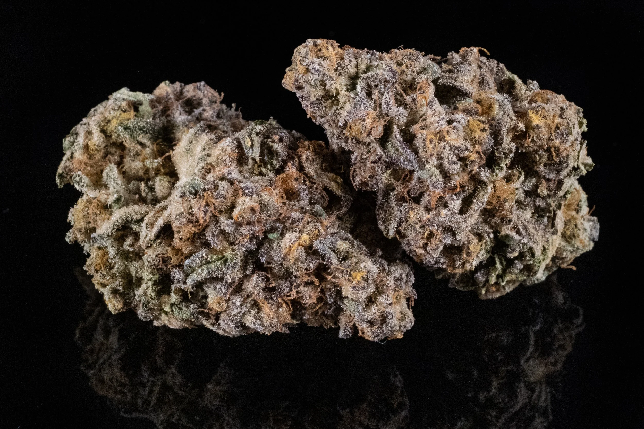 Point Break Indica Hybrid 